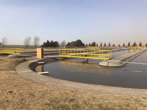 FB_IMG_1772020178141