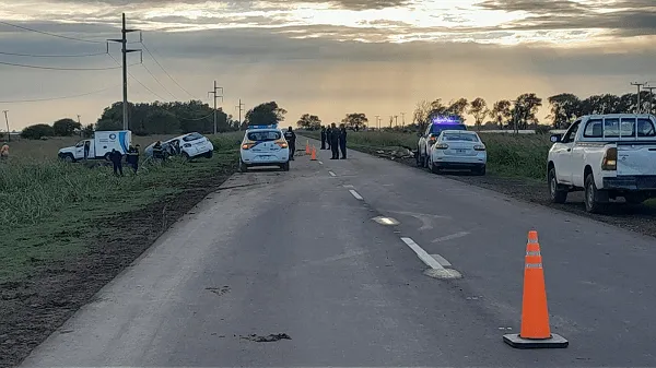 choque-fatal-ruta-2-auto-animales-sueltos