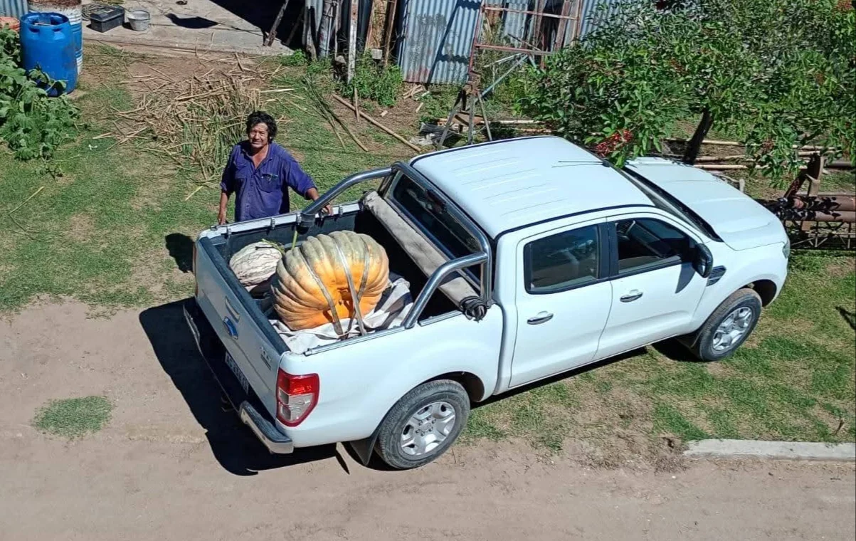 julio-flores-junto-a-su-zapallo-gigante