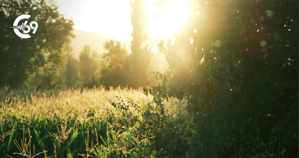 el-tiempo-en-santa-eufemia