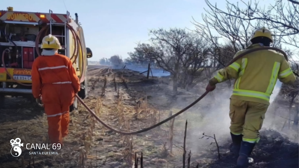 DAPortada web - 2024-08-05T083810.769