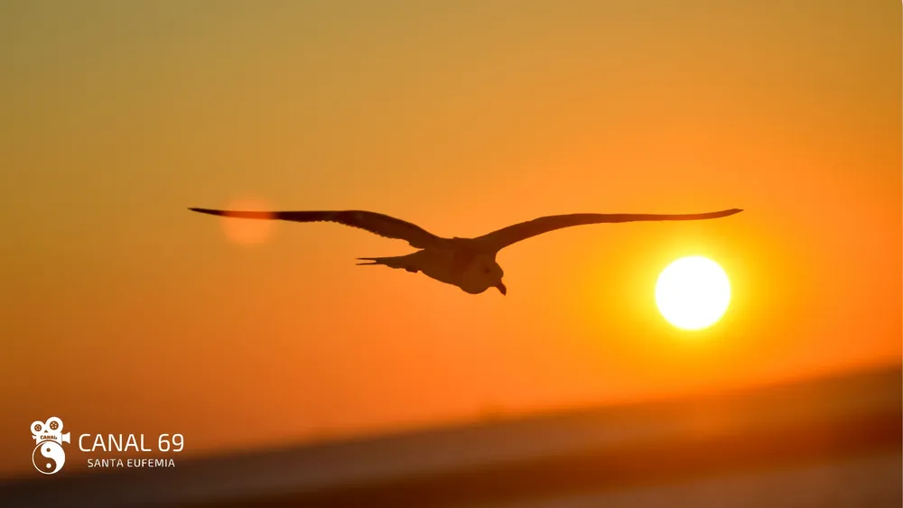 DAPortada web_20241029_020133_0000