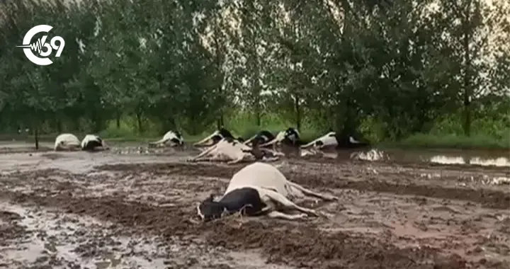 Portada C69 - 2026-02-20T074214.708