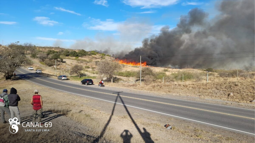 DAPortada web - 2024-08-14T191402.205