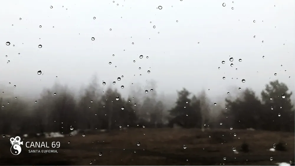 DAPortada web_20250307_112011_0000