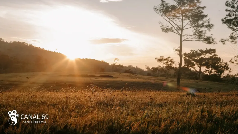 DAPortada web_20241024_083621_0000