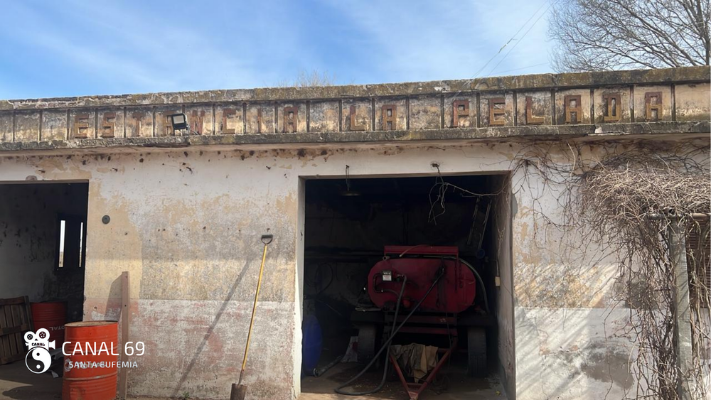 DAPortada web - 2024-08-14T155247.663