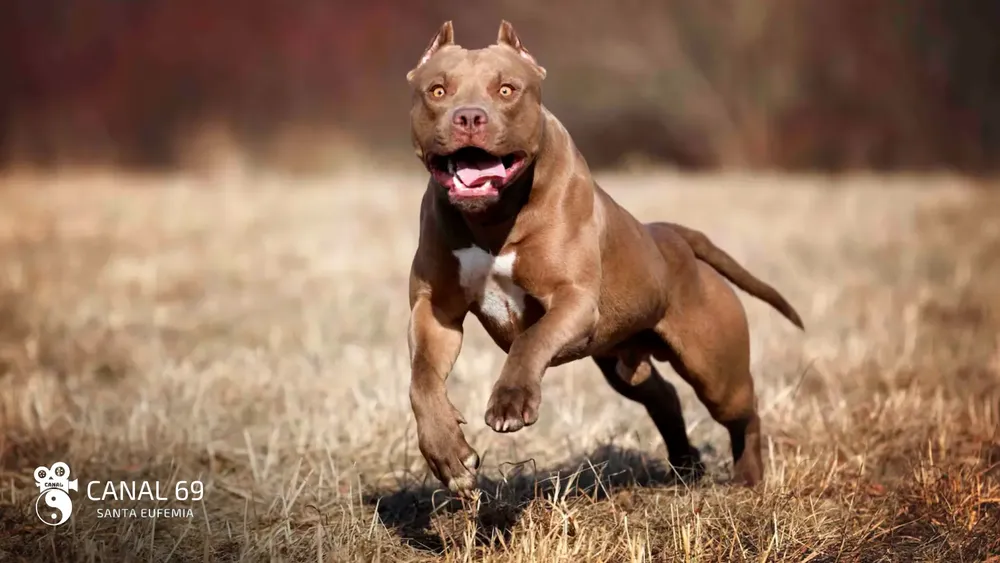 DAPortada web - 2024-09-24T033213.620