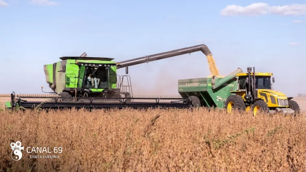 DAPortada web_20241122_082754_0000