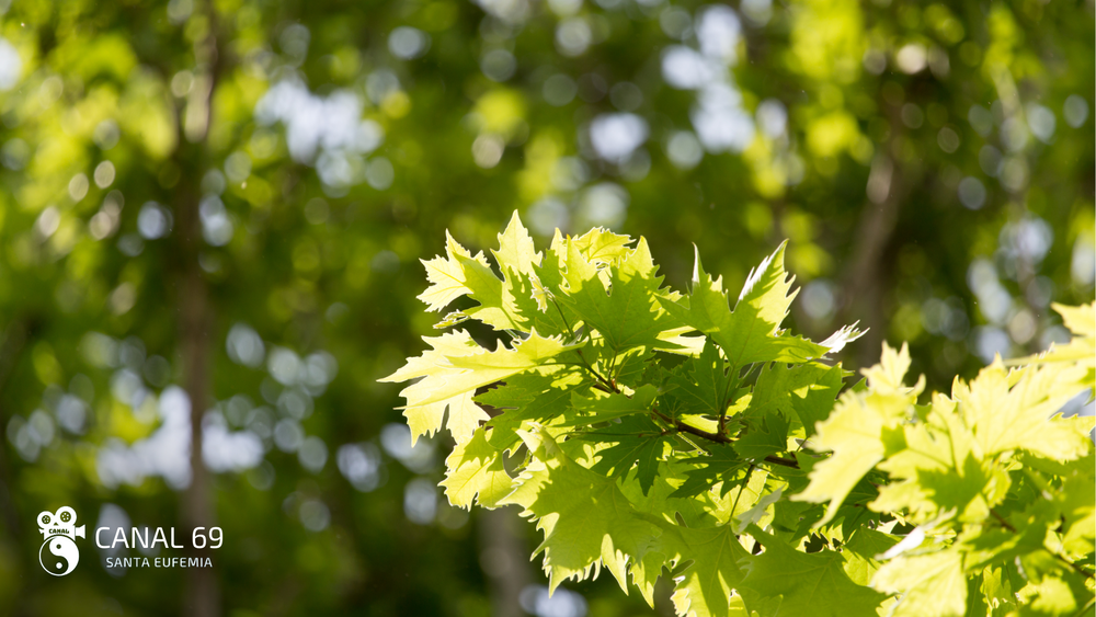 DAPortada web - 2024-08-26T032408.363