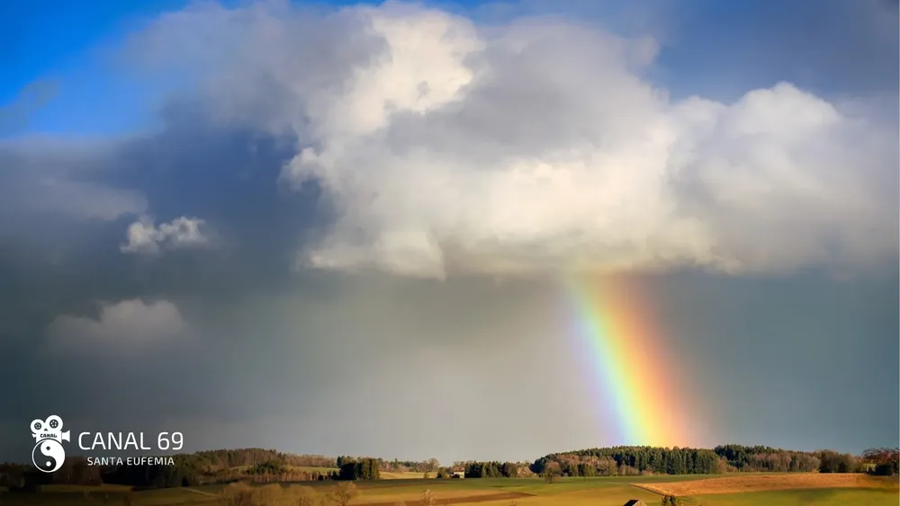 DAPortada web_20250204_090810_0000