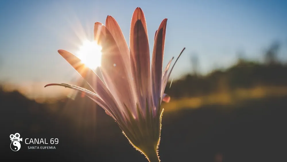 DAPortada web - 2024-09-21T014919.834