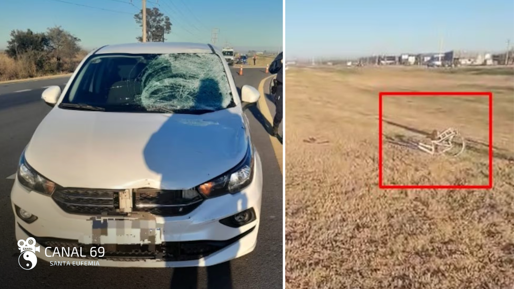 DAPortada web - 2024-08-12T104457.308