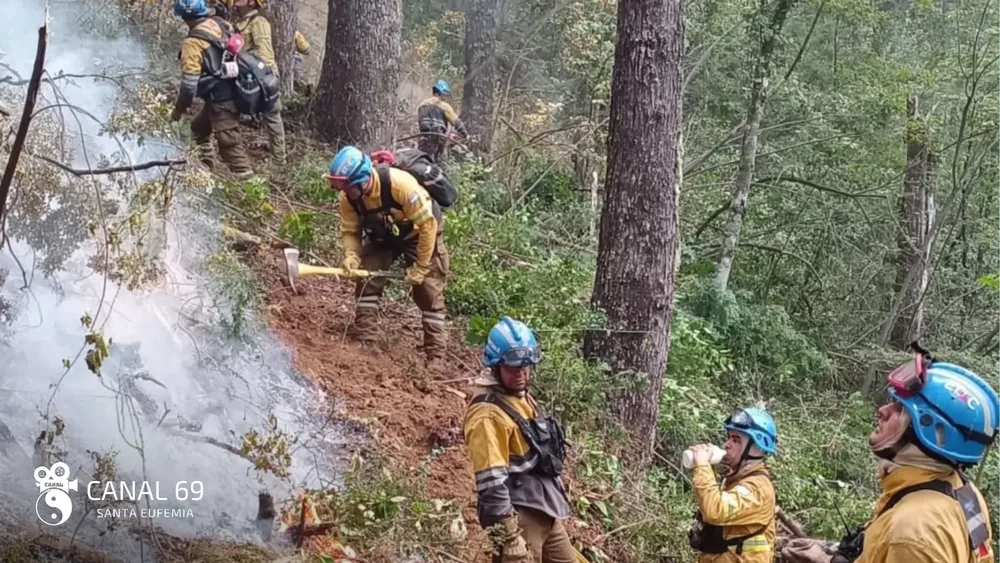 DAPortada web_20250203_122403_0000