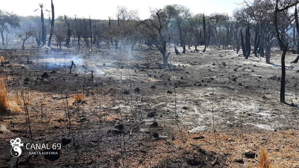 DAPortada web - 2024-08-27T130906.077