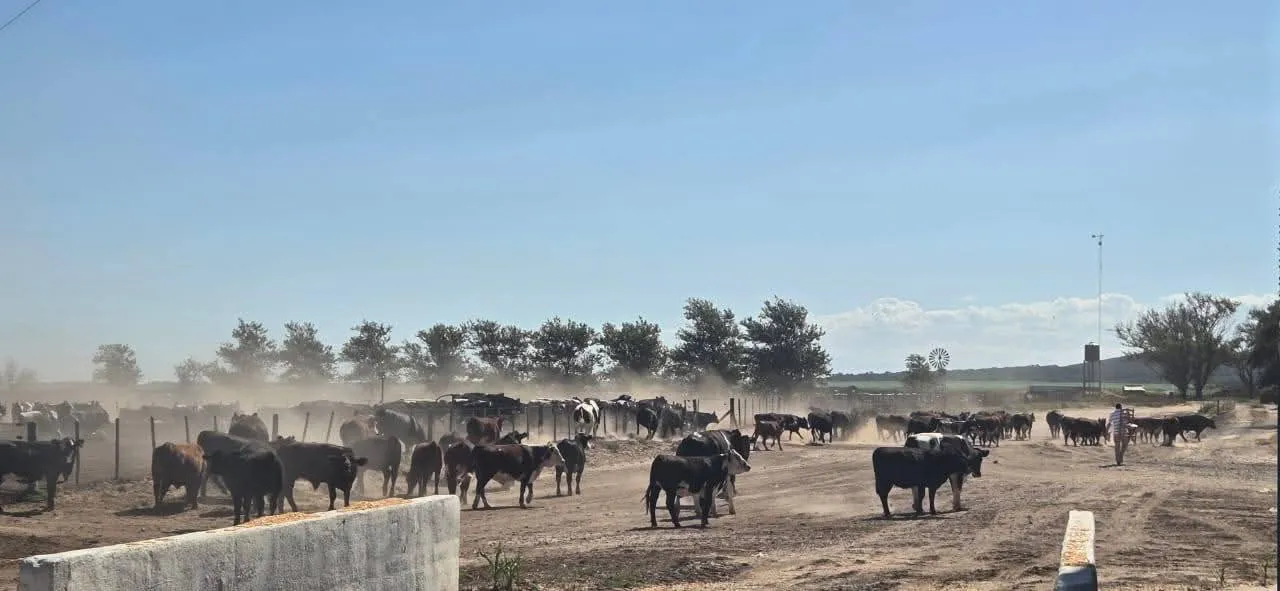 FB_IMG_1768816091940