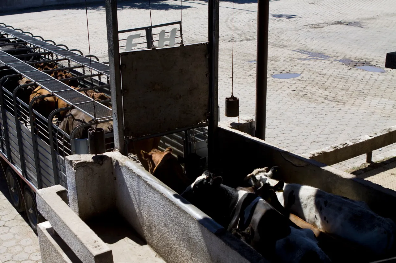 20-07-03_ba_transporte_3