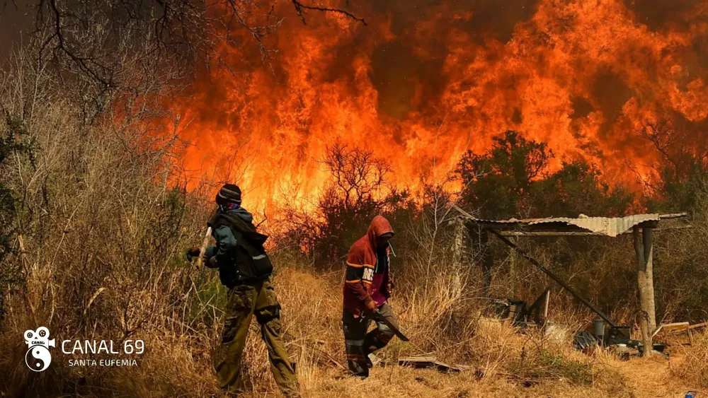 DAPortada web - 2024-09-23T035707.457