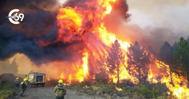 Portada C69 - 2026-01-30T081438.486