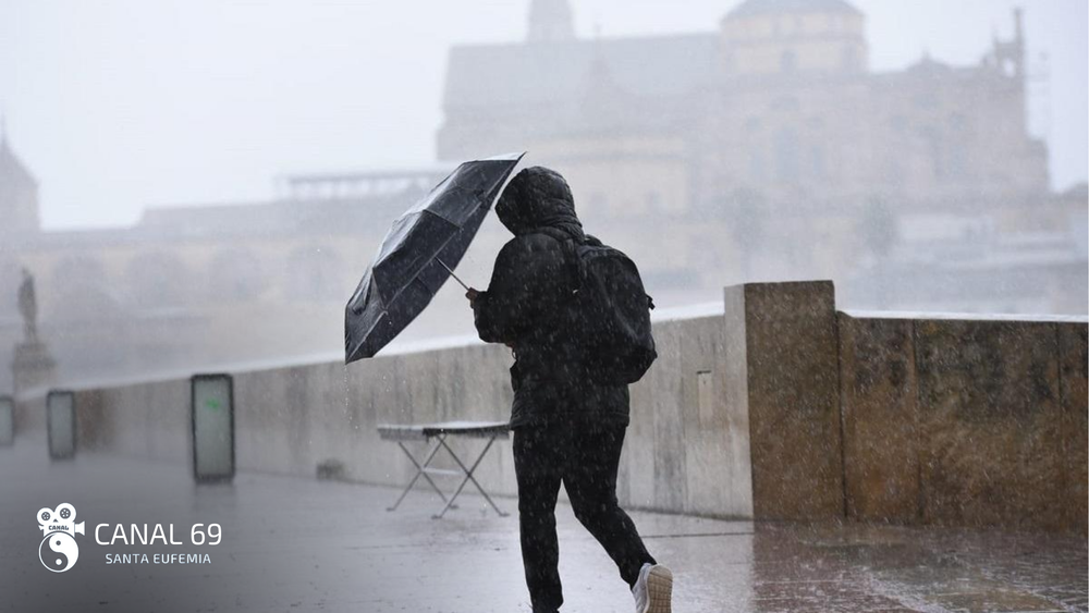 DAPortada web - 2024-08-20T024615.138