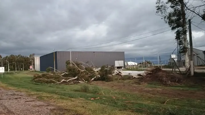 FB_IMG_1734048203548