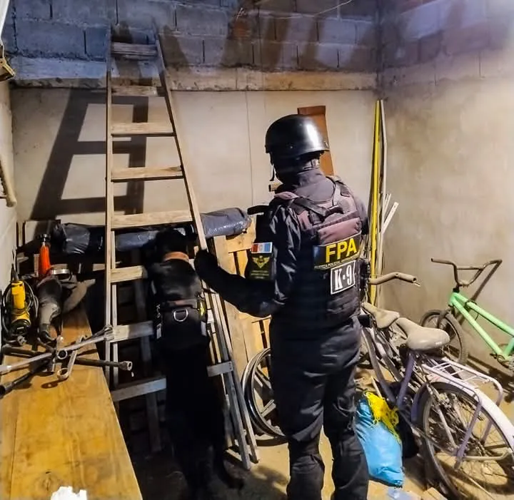 FB_IMG_1741268061454