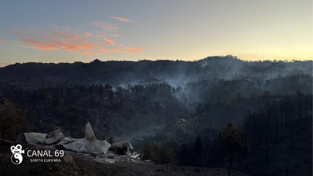 DAPortada web - 2024-09-04T202243.447