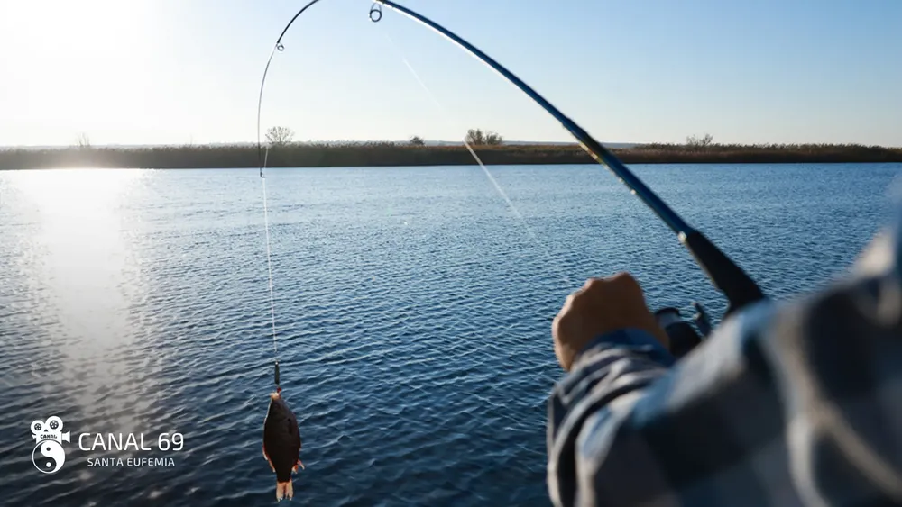 DAPortada web - 2024-09-28T110528.053