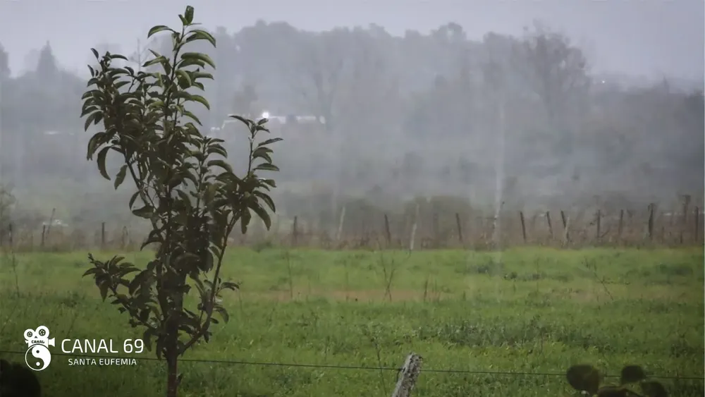 DAPortada web_20250227_213538_0000