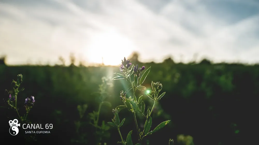 DAPortada web - 2024-10-03T024410.885