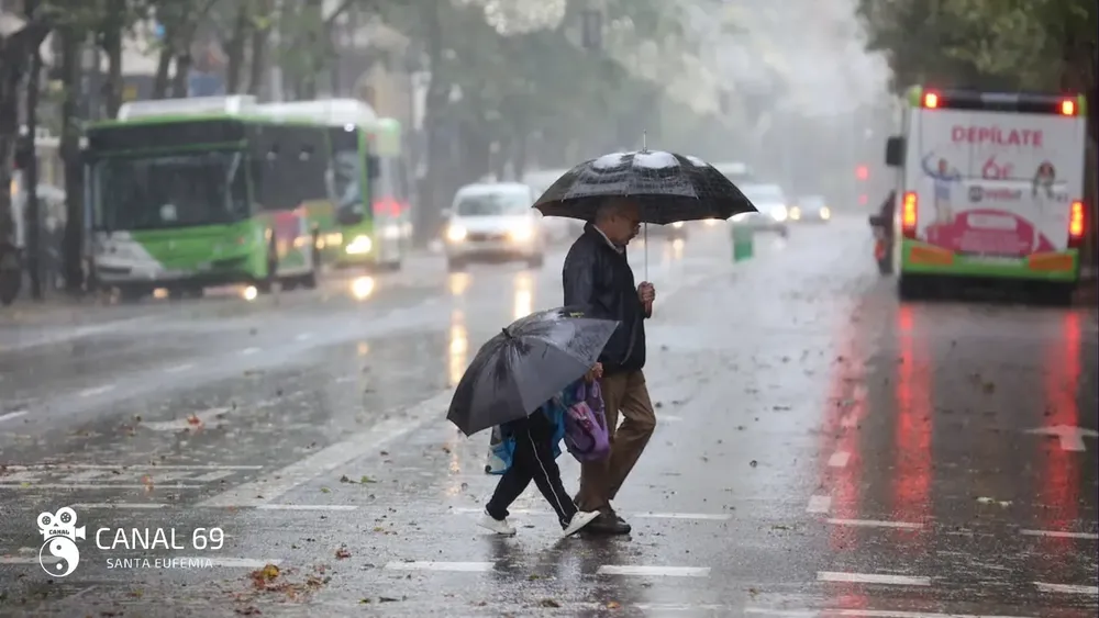 DAPortada web_20241013_215820_0000