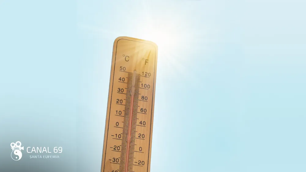 DAPortada web_20241018_092757_0000