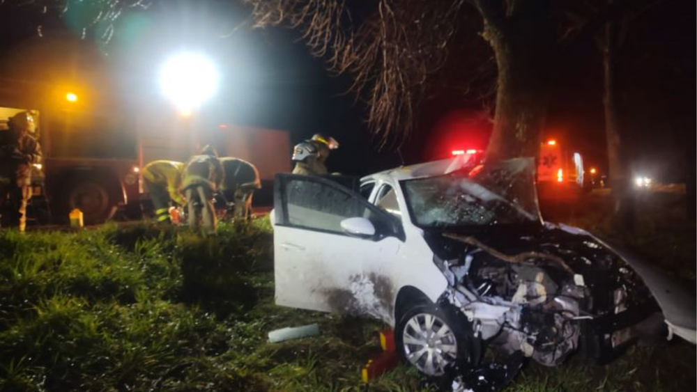 DAPortada web - 2024-08-20T084036.830