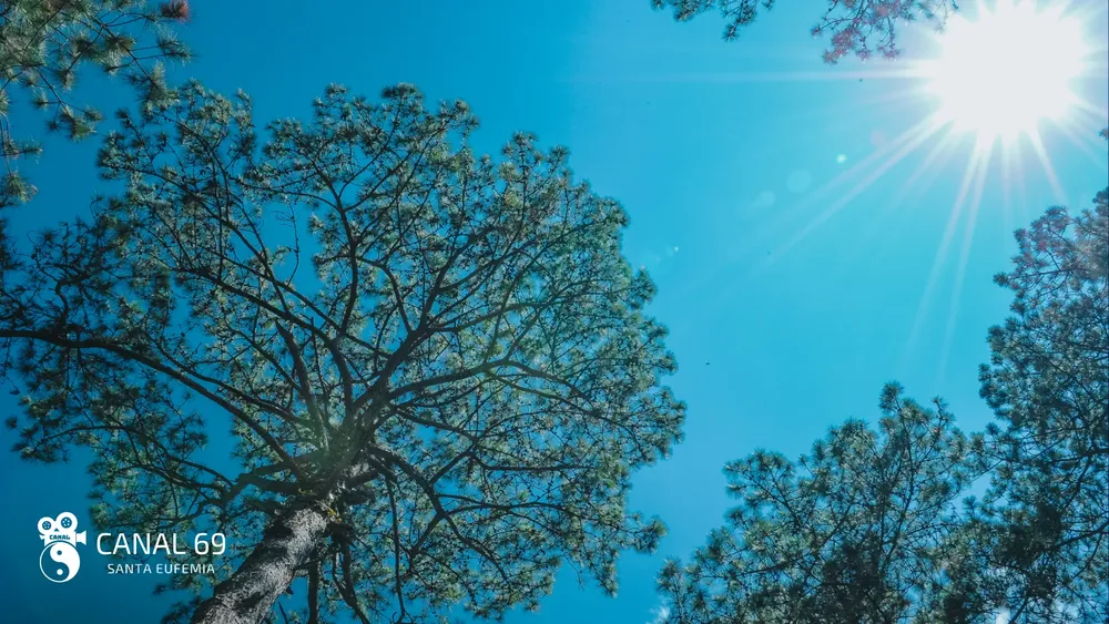 DAPortada web_20241010_234045_0000