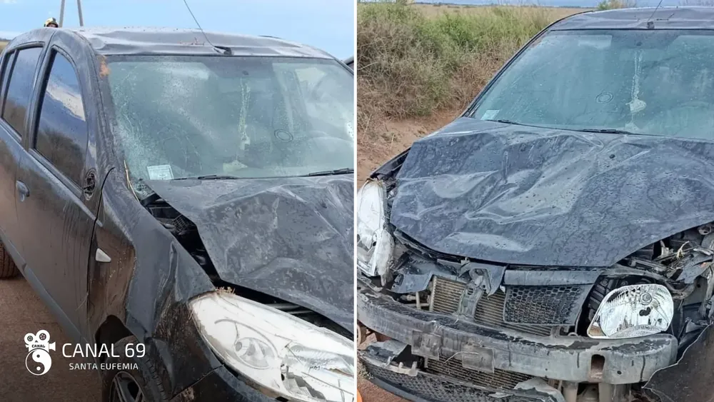 DAPortada web_20241013_131602_0000