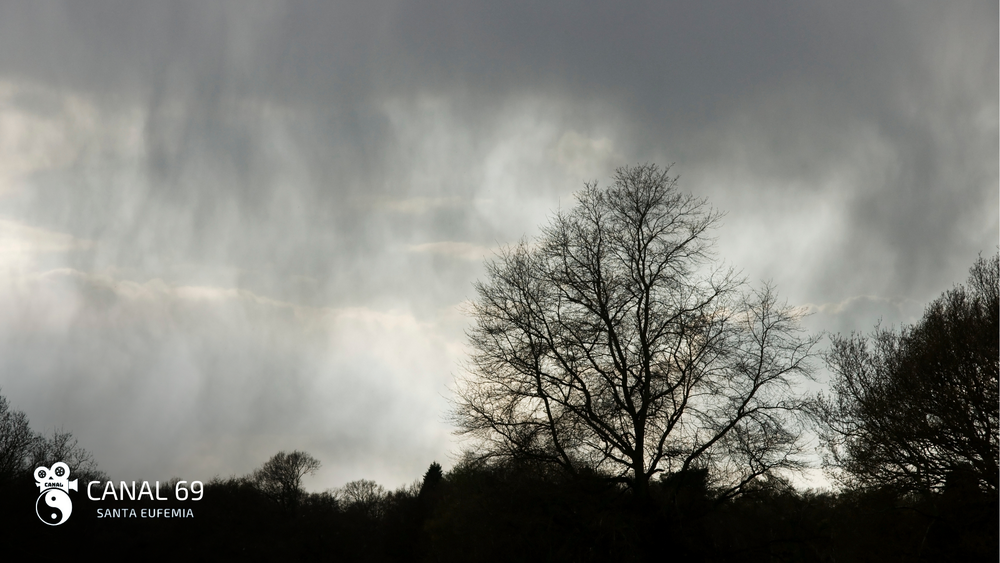 DAPortada web - 2024-08-21T031233.832