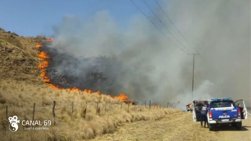 DAPortada web - 2024-08-01T093029.494