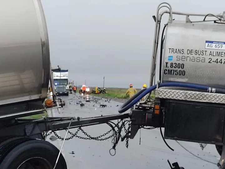 FB_IMG_1729684568490