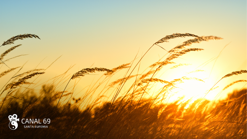 DAPortada web - 2024-09-05T042612.340