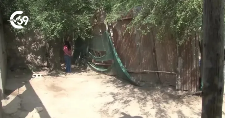 Portada C69 - 2025-10-17T091715.449