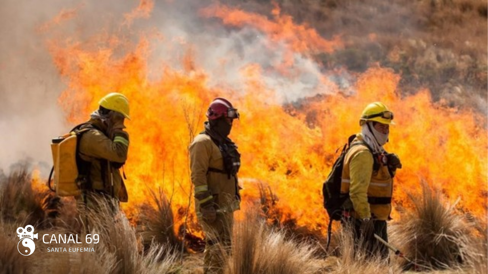 DAPortada web - 2024-08-11T033735.955