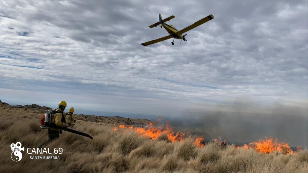 DAPortada web - 2024-09-02T122501.562