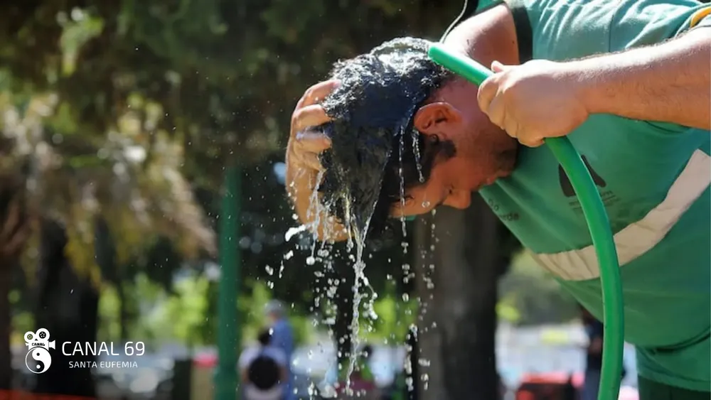 DAPortada web_20250131_071905_0000