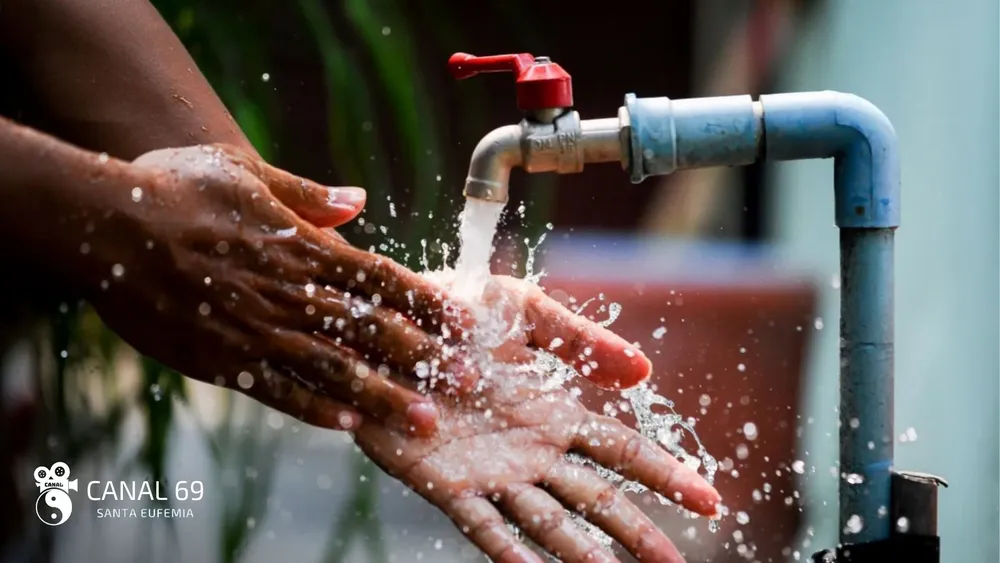 DAPortada web_20241114_090909_0000