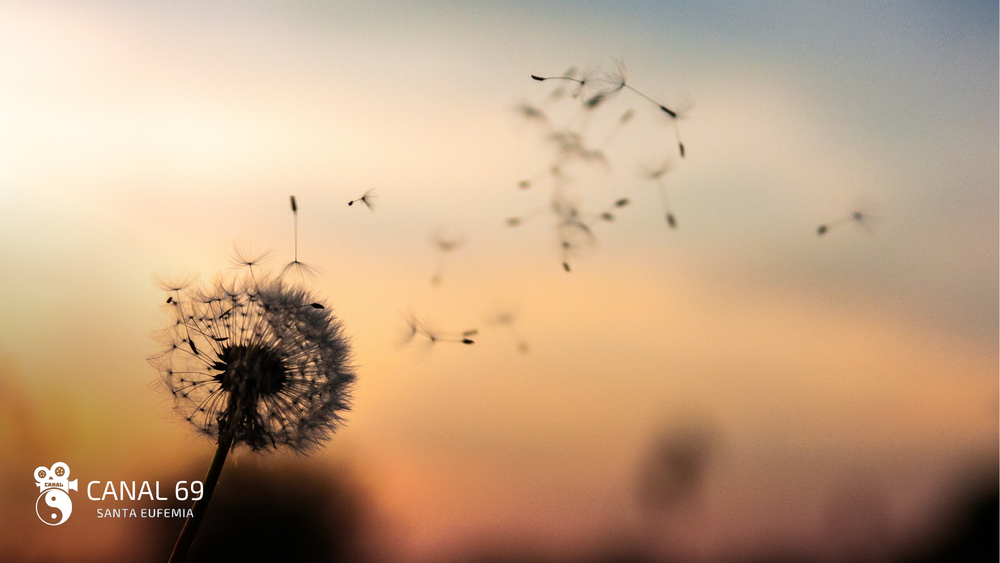 DAPortada web - 2024-08-07T042739.480