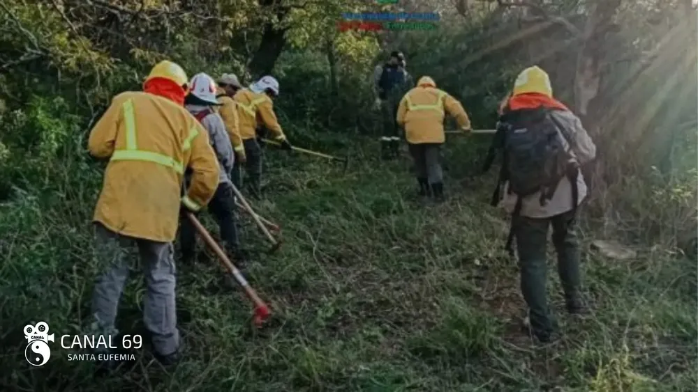 DAPortada web_20250604_091551_0000