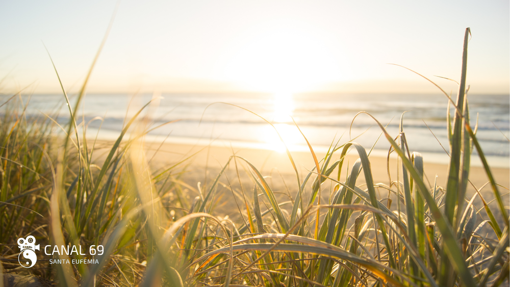 DAPortada web - 2024-08-01T041025.782