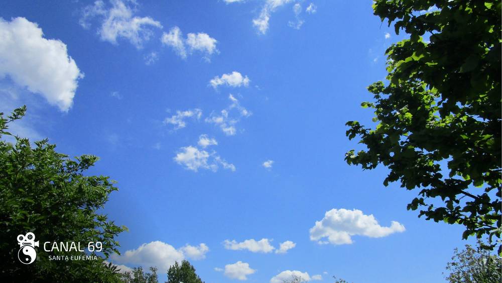 DAPortada web - 2024-08-25T030219.516