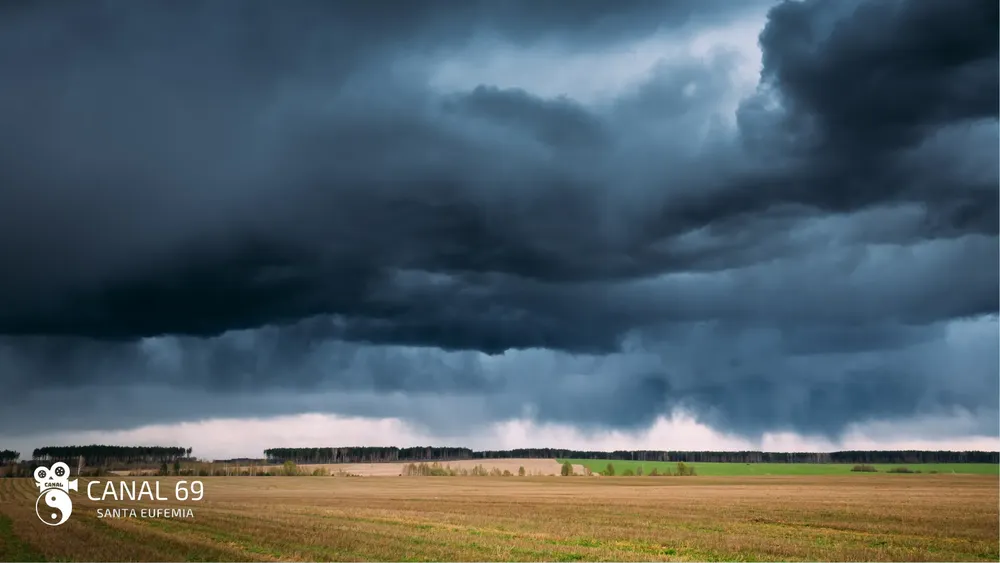 DAPortada web_20241023_095527_0000