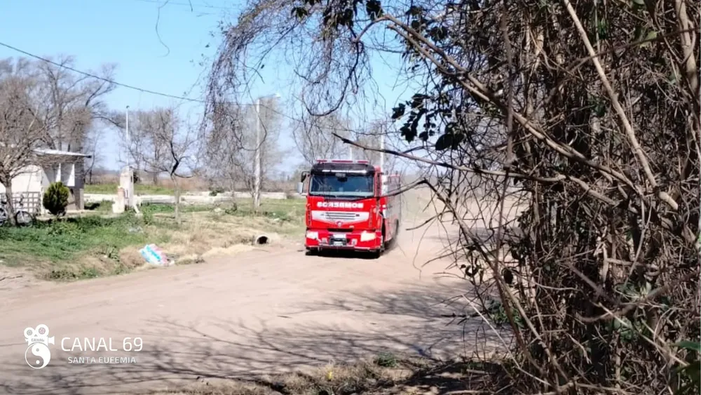 DAPortada web_20241026_163158_0000